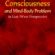 Phenomenal Consciousness and Mind-Body Problem