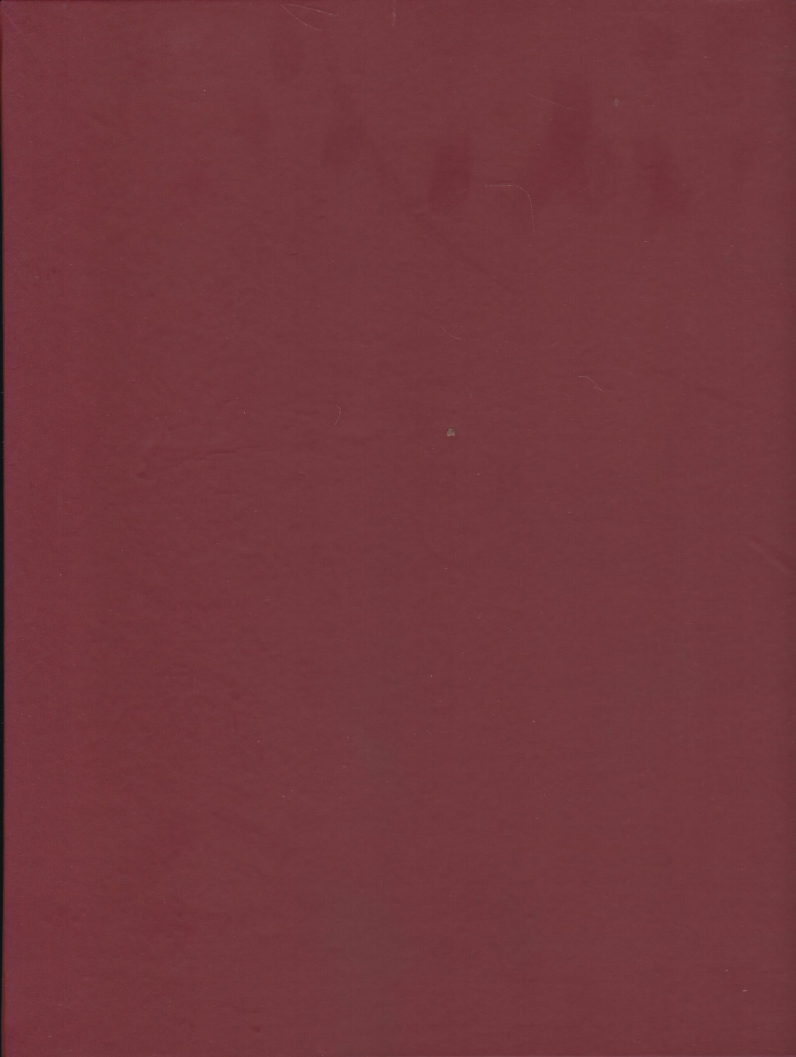 Back image