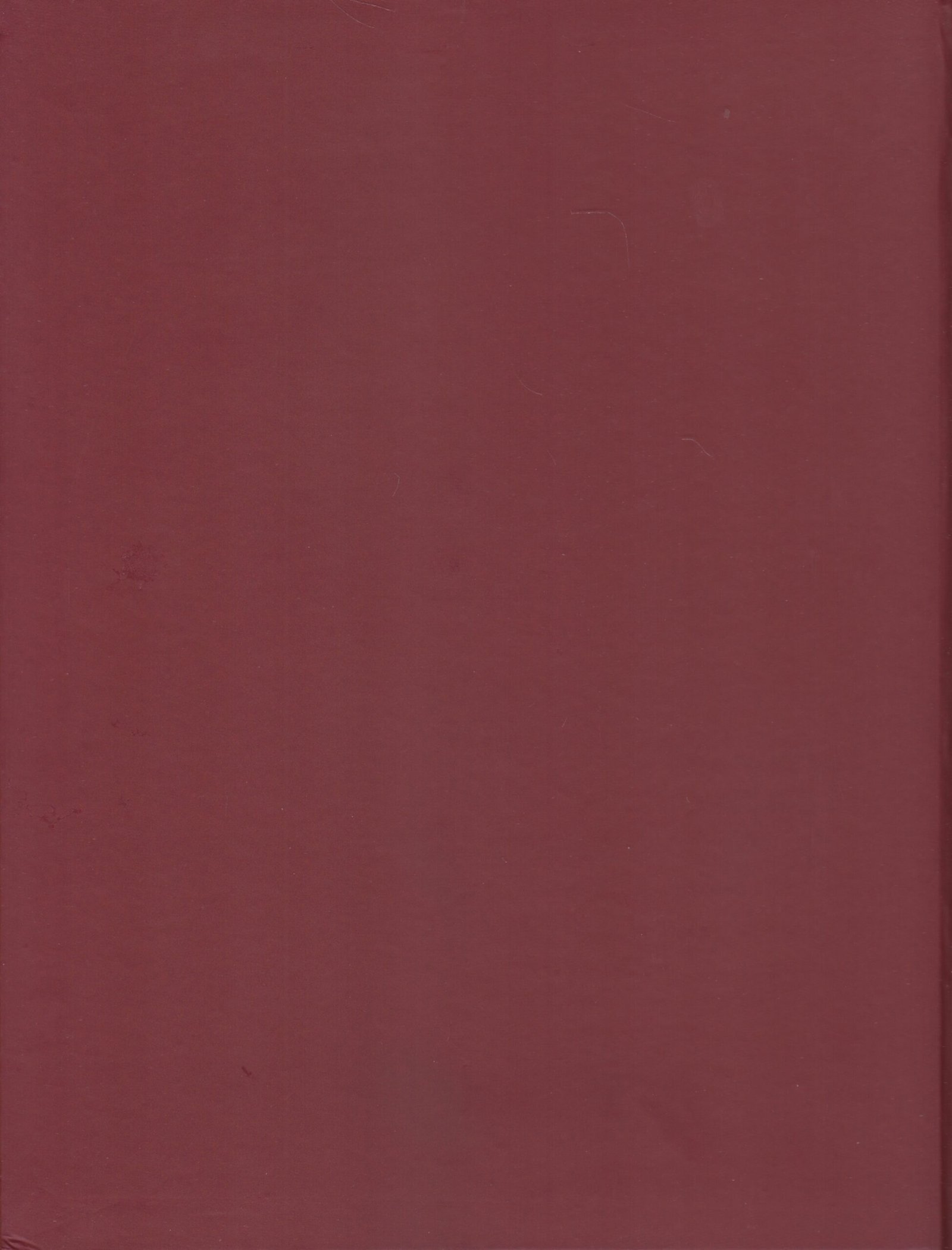 Back image