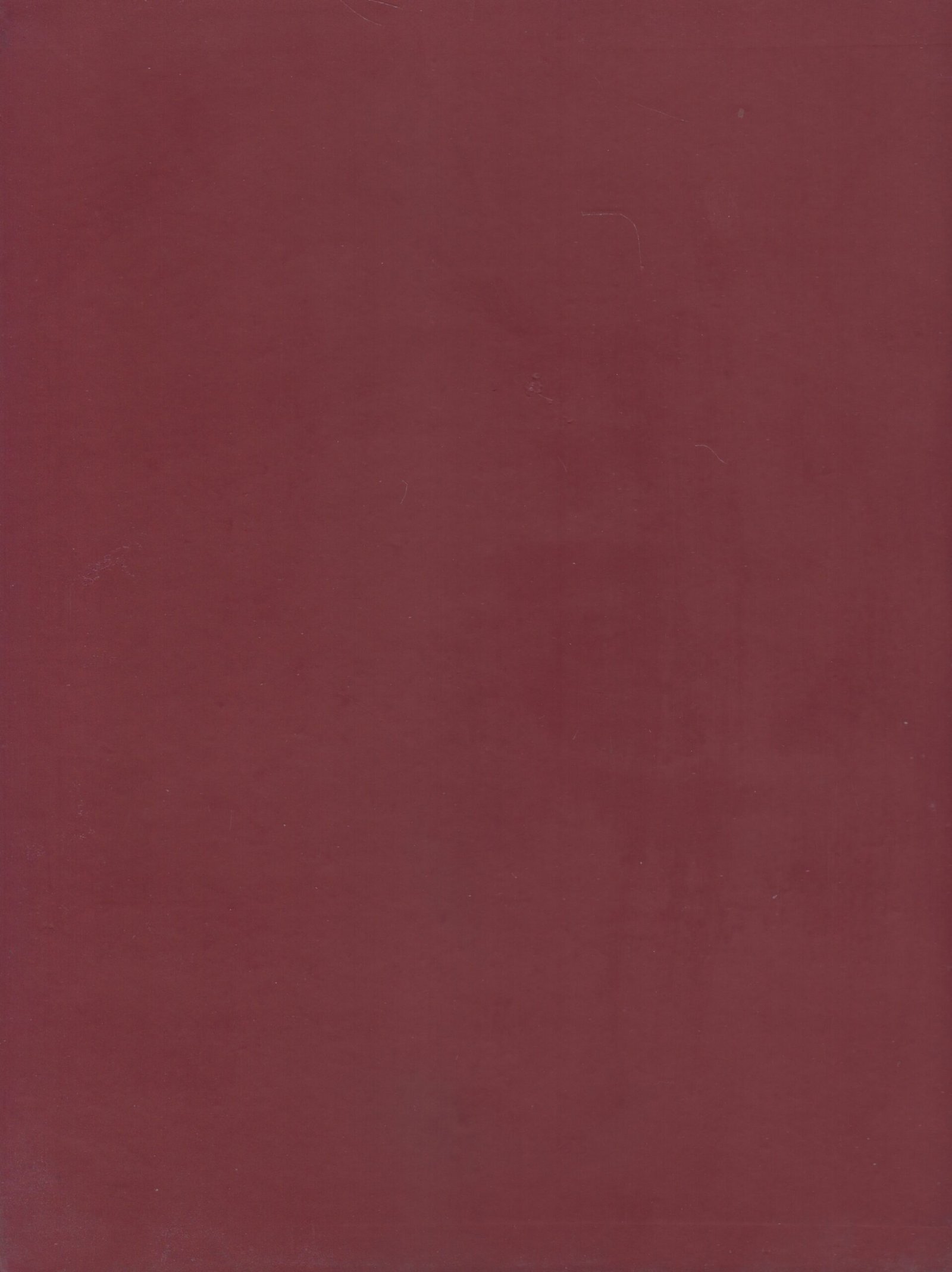 Back image