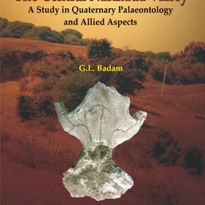 Central Narmada Valley