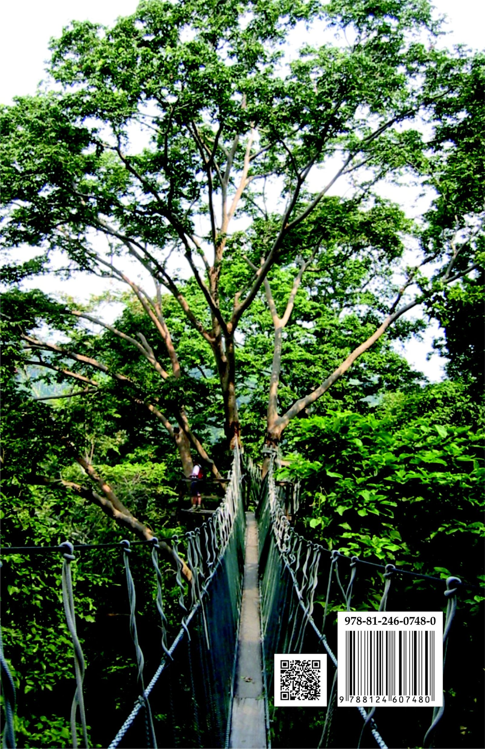 Back image