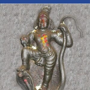 Krishna in the Harivamsha: Vol. 1