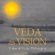 Veda as Vision